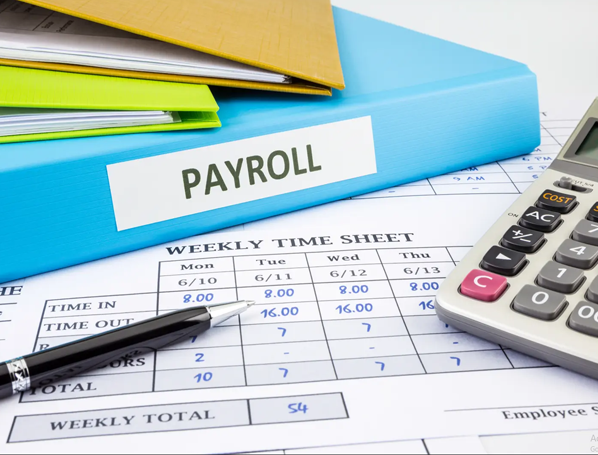 Pratapkaran Paul & Co.,(PKP),Chartered Accountants